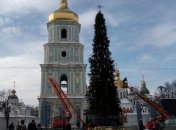 Праздники закончились: в Киеве демонтируют главную елку страны