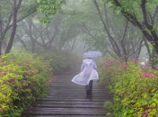 Денна температура у деяких містах може сягати до 29 градусів тепла