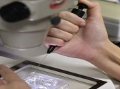 ВР предлагает ввести ограничения на суррогатное материнство