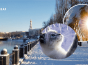 Погода в Украине