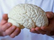 Был найден древний череп с неповрежденным мозгом  