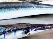 Выживает сильнейший: в Индонезии рыба сама напала на рыбака (Фото)