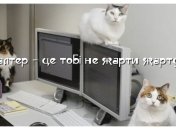 Досвідчений бухгалтер ніколи не помиляється не на свою користь: анекдоти про професію