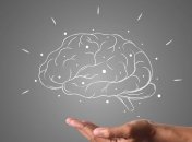 Исследование: человеческий мозг эволюционирует