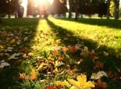 Сегодня в Украину пришло бабье лето  