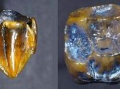 В Германии обнаружили уникальную находку 