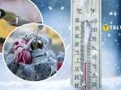 Прогноз погоды в Украине