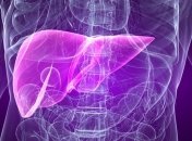 Ученые создали клетки печени из донорских органов