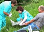 Пострадавшие в ДТП в Херсонской области находятся в больницах