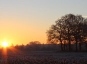 Прогноз погоды в Украине на 1 декабря: ожидается солнечная погода, местами дожди