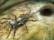 Паукообразная химера: в Мьянме нашли ископаемого арахнида возрастом 100 млн лет (Фото)