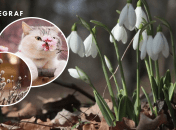 Погода в марте