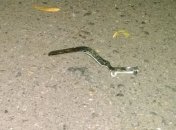 Взрыв гранаты в Одессе квалифицировали как хулиганство