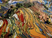 Рисовые террасы в провинции Юньнань (Фоторепортаж)