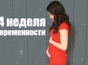 Как выглядит живот на 14 неделе беременности: 12 фото из Инстаграма