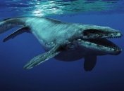 В Колумбии нашли трехметровый скелет мозазавра