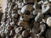 В Британии из церковного склепа похитили 21 череп 