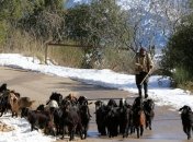 Снимки о жизни людей в Ливане (Фото)