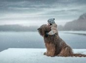 Как сказать ребенку о смерти животного и помочь ему пережить потерю