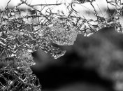 ДТП на трассе Львов - Тернополь забрало жизни подростков