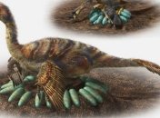 Ученые объяснили механизм высиживания яиц тяжелыми пернатыми динозаврами