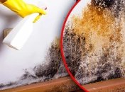 Химические средства против плесени можно заменить на натуральные