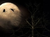 Полнолуние 23 ноября: все, что нужно знать об этом явлении 