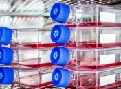 В NASA организовали конкурс на 500 000 долларов США