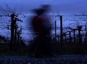 Македония возводит заграждения на границе с Грецией