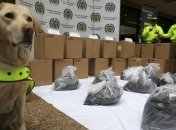 Полицейские Колумбии и Мексики совместно задержали 2 тонны кокаина