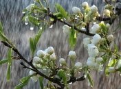 Грозы с градом и шквальный ветер: в Украине значительно ухудшится погода