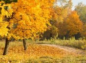 Погода в Украине в октябре