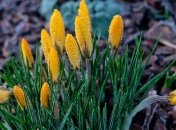 28 февраля - приметы и обряды в День Онисима