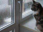 Советы, чтобы избавиться от конденсата на окнах