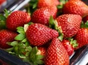 Выбираем клубнику правильно