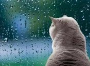 Погода на ближайшую неделю