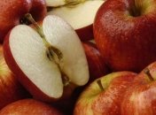 Самые полезные продукты для почек