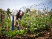 Как облегчить работу на даче