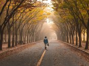 Погода в Украине до конца сентября