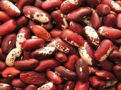 "Долгоиграющая" фасоль