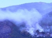 В США бушуют более 80 лесных и степных пожаров