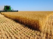 В Україні вже зібрали 6,3 мільйона тонн зерна