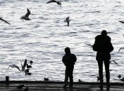 В Крыму создадут ведомство по сбору туристического налога