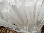 В ЕС предлагают запретить производство некоторых товаров из пластика