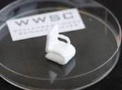 С помощью 3D-принтера научились печатать объекты из дерева