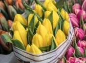 Новый рекорд: 8 марта в Киеве стало самым теплым за всю историю наблюдений