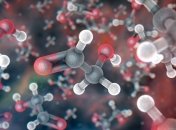 Каждая клетка организма имеет в себе биологические часы