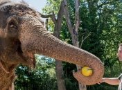 Расписание матчей 1/8 финала Евро-2016 на 26 июня