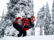 Норвежцы взяли все медали на Кубке мира