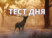 Визуальный тест, который раскроет суть Вашей личности